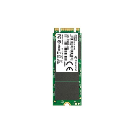 Transcend M.2 SSD 600S 256 GB Serial ATA III