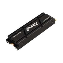 Kingston Technology 1000G RENEGADE PCIe 4.0 NVMe SSD W  Dissipatore di calore
