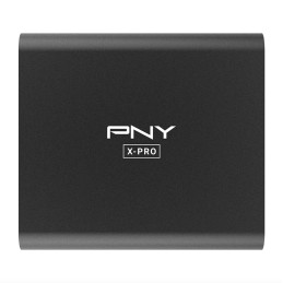 PNY X-Pro 1 TB Nero