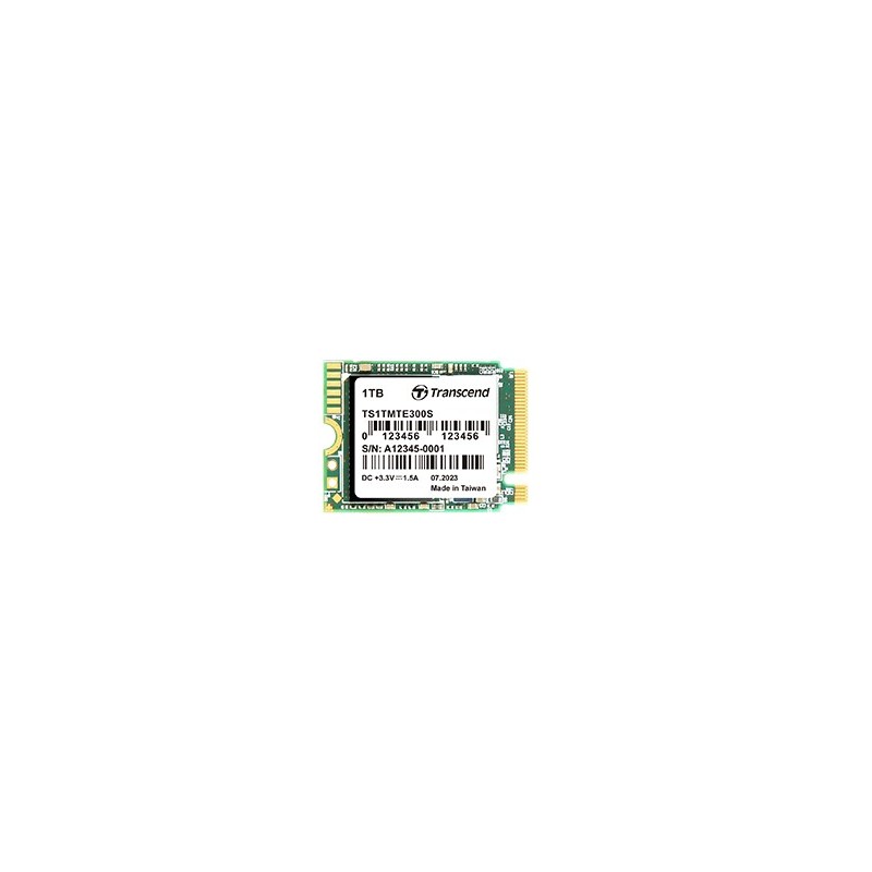 300S - SSD - 1 TB - intern - M.2 2230 - PCIe 3.0 x4 (NVMe)