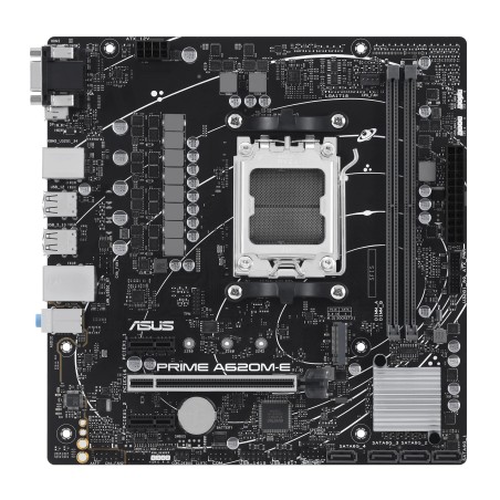 ASUS PRIME A620M-E-CSM AMD A620 Presa di corrente AM5 micro ATX