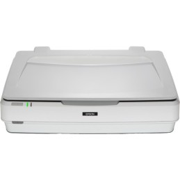Epson Expression 13000XL Scanner piano 2400 x 4800 DPI A3 Bianco