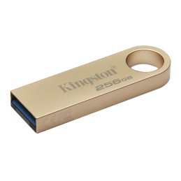 Kingston Technology DataTraveler 256GB 220MB s Drive USB 3.2 Gen 1 in Metallo SE9 G3