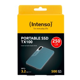 Intenso Lesen Schreiben bis zu 500 MB s 250GB Blu, Grigio