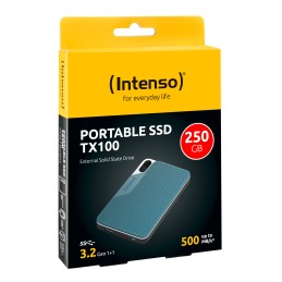 Intenso Lesen Schreiben bis zu 500 MB s 250GB Blu, Grigio