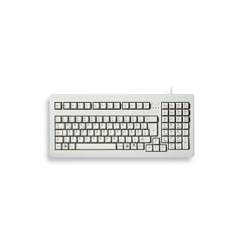 CHERRY G80-1800 tastiera USB QWERTY Inglese US Grigio
