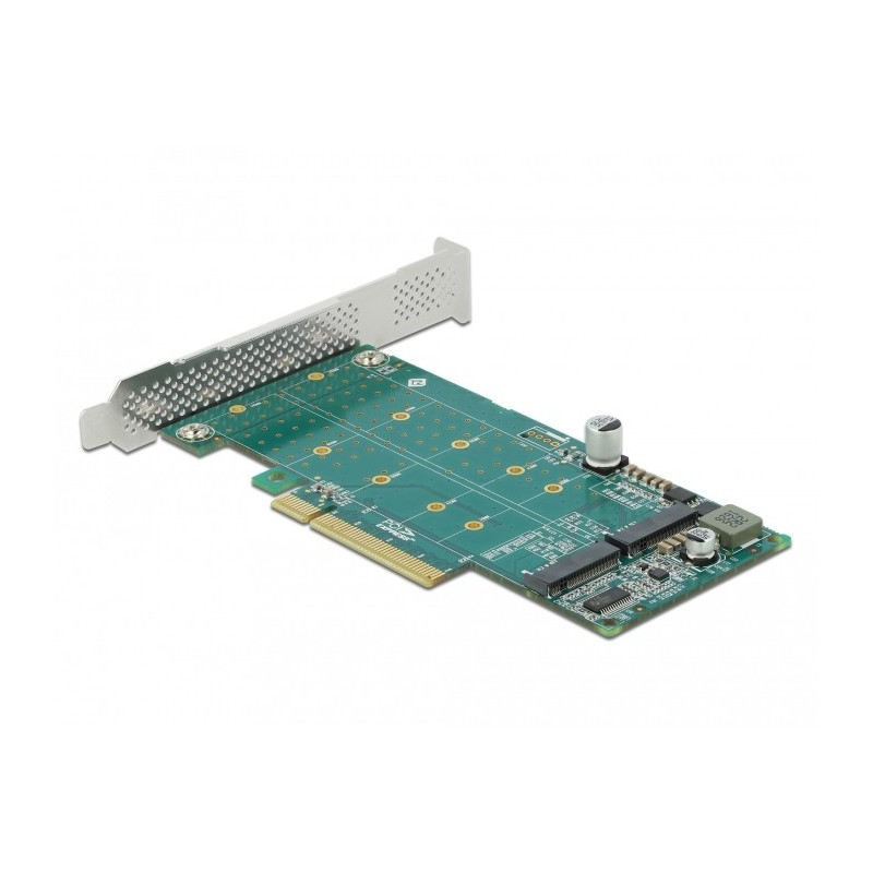 Delock PCI Express x8 Card to 2 x internal NVMe M.2 Key M