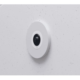 Ubiquiti AI Theta Professional Telecamera di sicurezza IP Interno 2160 x 2160 Pixel Soffitto muro