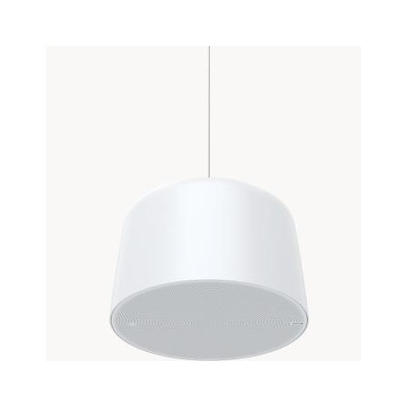 Axis 02389-001 altoparlante 1-via Bianco Cablato