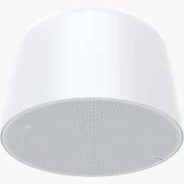 Axis 02389-001 altoparlante 1-via Bianco Cablato