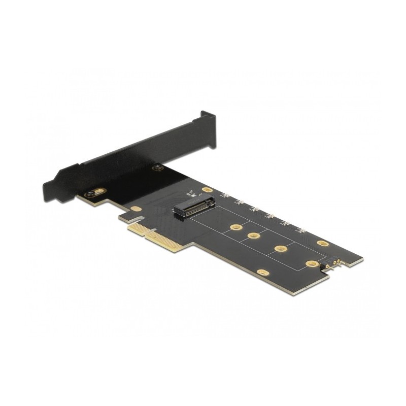 Delock Speicher-Controller - M.2 - M.2 NVMe Card / PCIe 4.0 (NVMe)