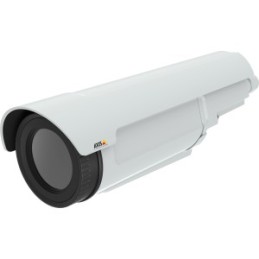 Axis 0977-001 telecamera di sorveglianza Capocorda Telecamera di sicurezza IP Esterno 384 x 288 Pixel Soffitto muro