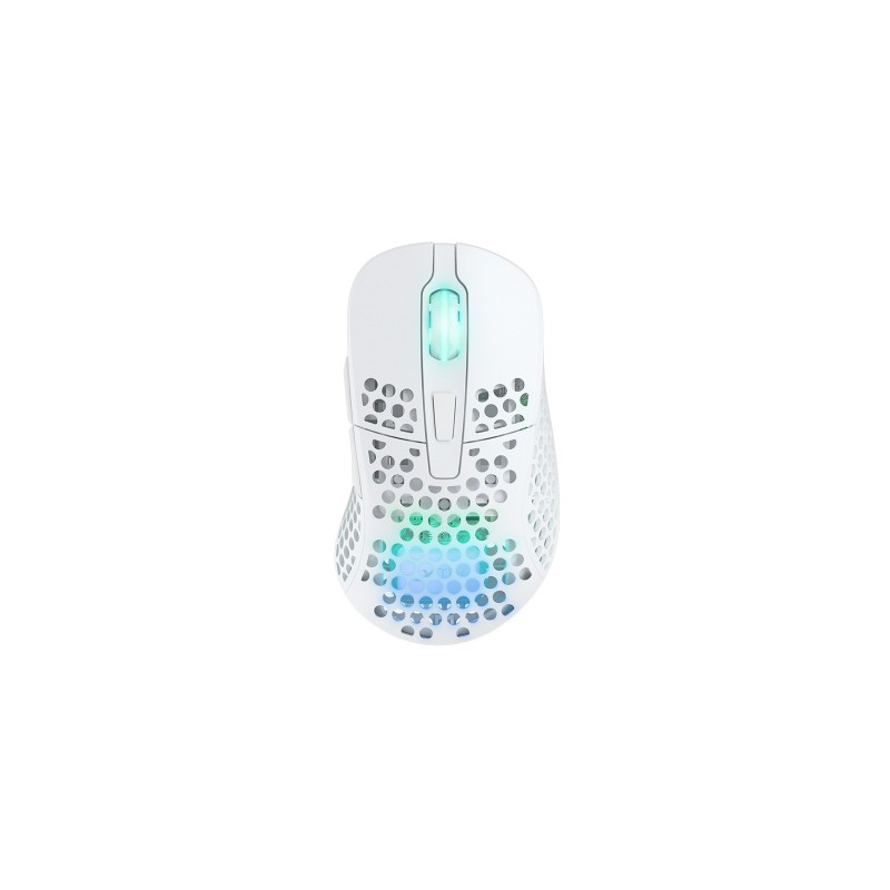 Cherry Xtrfy M4 RGB - Maus - optisch - kabellos - 2.4 GHz - kabelloser Empfanger (USB)