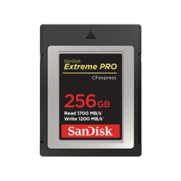 SanDisk SDCFE-256G-GN4NN memoria flash 256 GB CFexpress