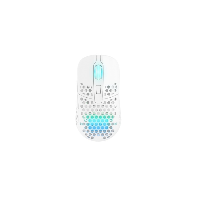 CHERRY XTRFY M42 RGB mouse Giocare Ambidestro RF Wireless + USB Type-C Ottico 19000 DPI