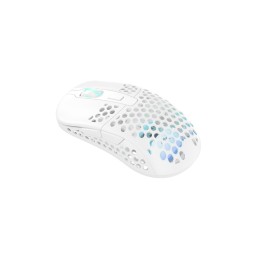 CHERRY XTRFY M42 RGB mouse Giocare Ambidestro RF Wireless + USB Type-C Ottico 19000 DPI