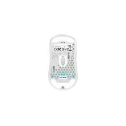 CHERRY XTRFY M42 RGB mouse Giocare Ambidestro RF Wireless + USB Type-C Ottico 19000 DPI