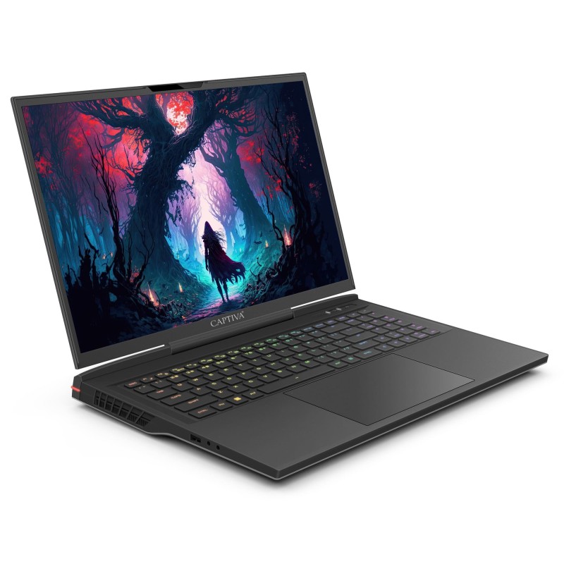 CAPTIVA Highend Gaming I81-491 Intel® Core™ i9 Computer portatile 43,9 cm (17.3") WQXGA 64 GB DDR5-SDRAM 1 TB SSD NVIDIA