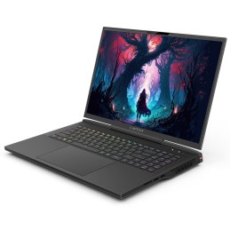 CAPTIVA Highend Gaming I81-491 Intel® Core™ i9 Computer portatile 43,9 cm (17.3") WQXGA 64 GB DDR5-SDRAM 1 TB SSD NVIDIA