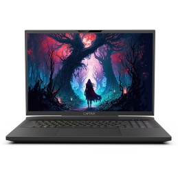 CAPTIVA Highend Gaming I81-491 Intel® Core™ i9 Computer portatile 43,9 cm (17.3") WQXGA 64 GB DDR5-SDRAM 1 TB SSD NVIDIA