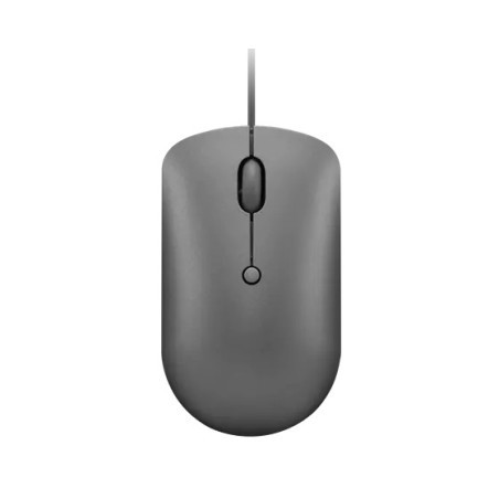 Lenovo 540 mouse Ufficio Ambidestro USB tipo-C Ottico