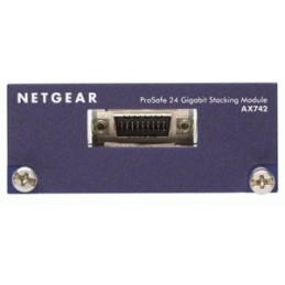 NETGEAR AX742 scheda di rete e adattatore 24000 Mbit s