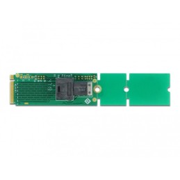 DeLOCK Adattatore M.2 Key M a SFF-8643 NVMe 22110   2280   2260