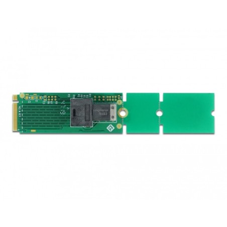 DeLOCK Adattatore M.2 Key M a SFF-8643 NVMe 22110   2280   2260