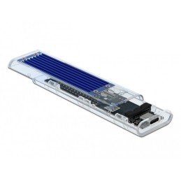 DeLOCK Custodia esterna per SSD PCIe NVME M.2 con USB Type-C femmina trasparente