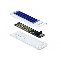 DeLOCK Custodia esterna per SSD PCIe NVME M.2 con USB Type-C femmina trasparente