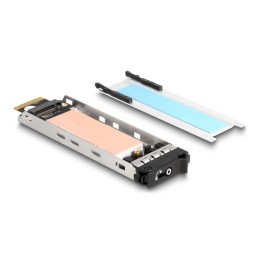 DeLOCK Vassoio interno Rack mobile 1 x M.2 NVMe SSD per Mobile Rack 47028   47042   47070   47072   47111   47117   47126  