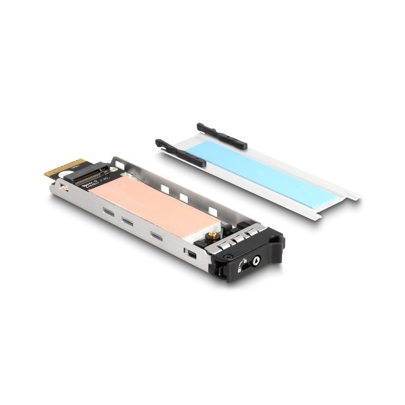 DeLOCK Vassoio interno Rack mobile 1 x M.2 NVMe SSD per Mobile Rack 47028   47042   47070   47072   47111   47117   47126  