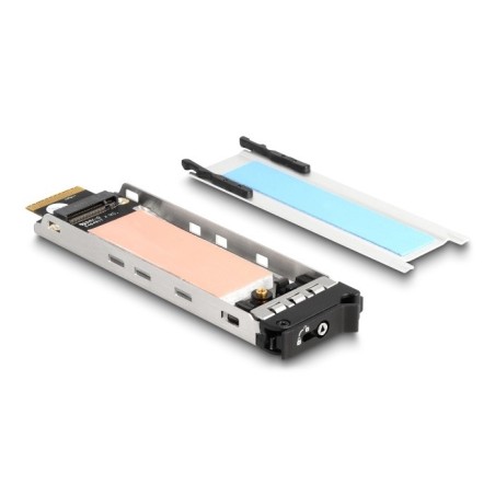 DeLOCK Vassoio interno Rack mobile 1 x M.2 NVMe SSD per Mobile Rack 47028   47042   47070   47072   47111   47117   47126  