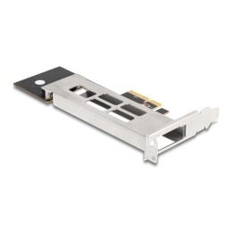 DeLOCK Scheda Mobile Rack PCI Express per 1 x M.2 NVMe SSD - Fattore di forma a basso profilo