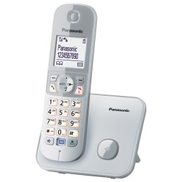 Panasonic KX-TG6811GS telefono Telefono DECT Identificatore di chiamata Argento