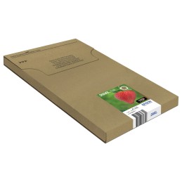 Epson Strawberry Multipack Fragole 4 colori Inchiostri Claria Home 29XL in confezione EasyMail Packaging