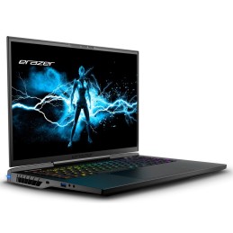 MEDION ERAZER Beast X40e Intel® Core™ i7 i7-14700HX Computer portatile 43,2 cm (17") Quad HD+ 16 GB DDR5-SDRAM 1 TB SSD NVIDIA