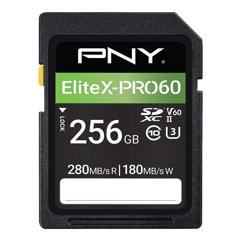 PNY EliteX-PRO60 256 GB SDXC UHS-II Classe 10