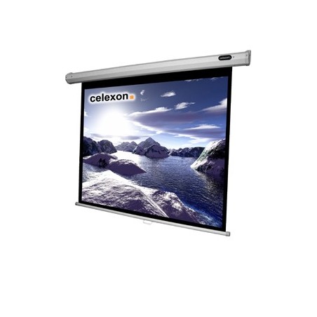 Celexon 1090036 schermo per proiettore 4 3