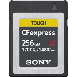 Sony CEB-G256 memoria flash 256 GB PC Card