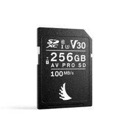 Angelbird Technologies AV PRO SD V30 256 GB SDXC UHS-I