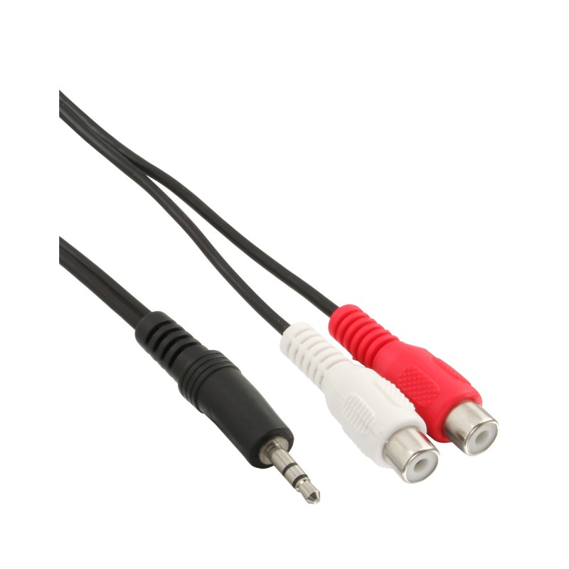 InLine Cavo Audio Jack 3,5mm M a 2x RCA F, 2m, prolunga