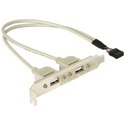 DeLOCK Slotbracket 1x internal USB 5pin  2x USB2.0 external