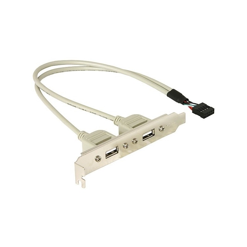 DeLOCK Slotbracket 1x internal USB 5pin  2x USB2.0 external