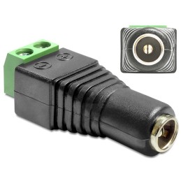 DeLOCK 65485 adattatore per inversione del genere dei cavi DC 2.5 x 5.5 mm 2p Nero, Verde