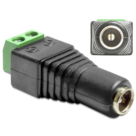 DeLOCK 65485 adattatore per inversione del genere dei cavi DC 2.5 x 5.5 mm 2p Nero, Verde