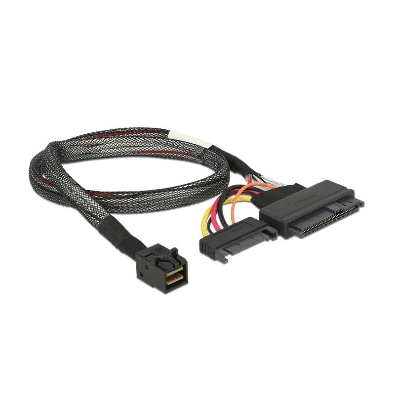 DeLOCK 84819 scheda di interfaccia e adattatore Interno U.2, SATA