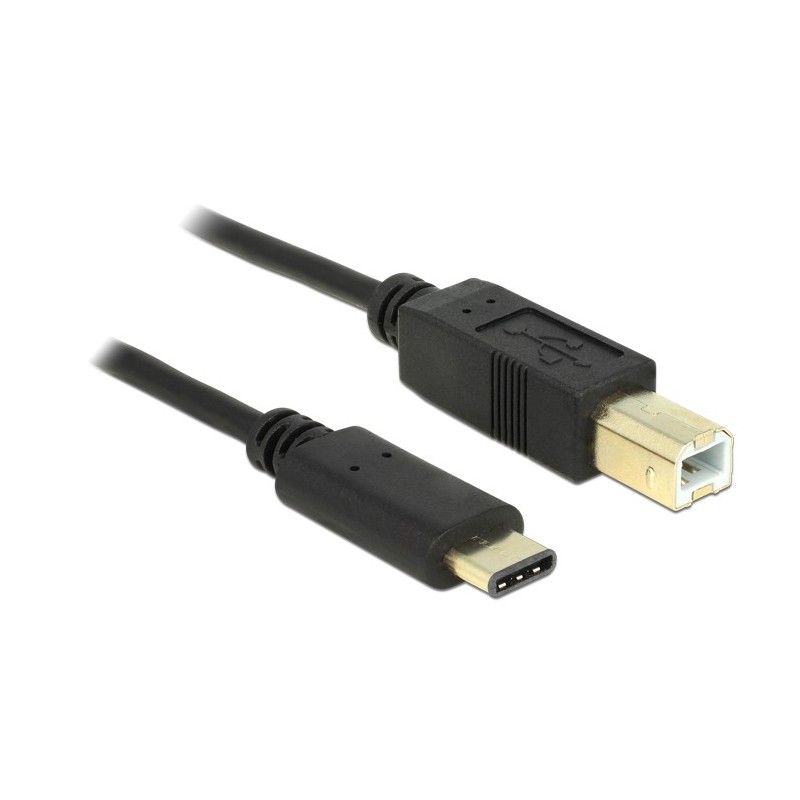 DeLOCK 2m, USB2.0-C USB2.0-B cavo USB USB B USB C Nero