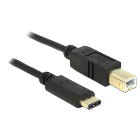 DeLOCK 2m, USB2.0-C USB2.0-B cavo USB USB B USB C Nero