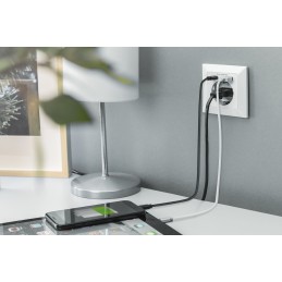 Digitus Presa di sicurezza da incasso con 1 USB Type-C™, 1 USB A